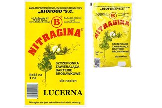 Nitragina 1 ha Szczepionka zawierająca bakterie brodawkowe dla nasion lucerny 300g