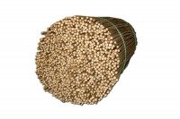 Tyczki bambusowe, ogrodowe 60cm średnica 6-8mm 